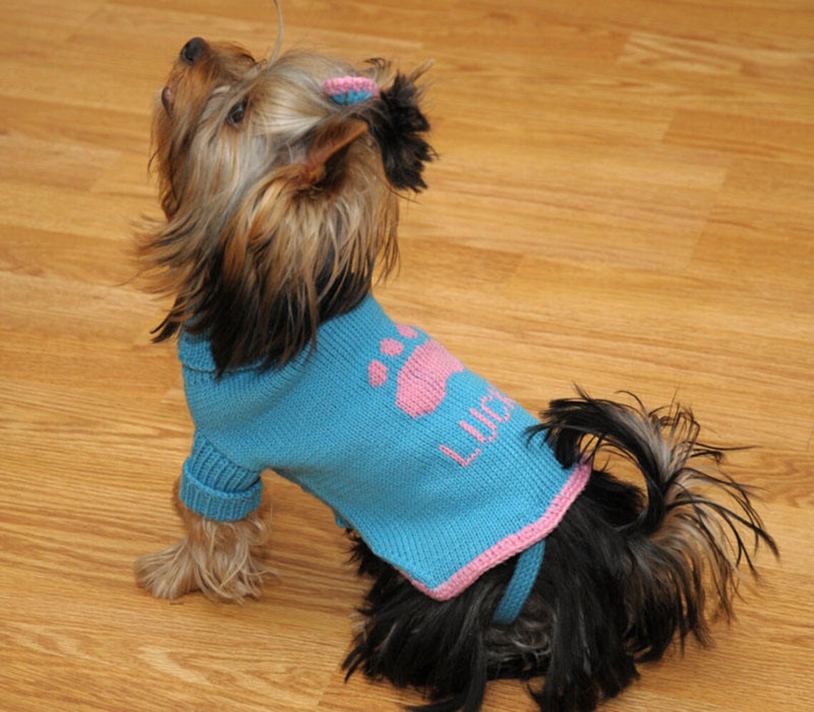 Sweater for Dog All Sizes PERSONALIZED Name 100 MERINO Etsy