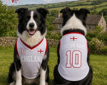 Custom England Pet Jersey, Personalized Cat Soccer Shirt, Football Outfit for Dogs Cats, Name Number Puppy Sports Jersey Gift