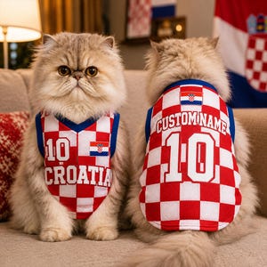 May include: Two long-haired cats wearing matching red and white checkered mesh jerseys. The front jersey features the number 10, the word CROATIA, and a small Croatian flag. The back jersey displays the number 10 and the text CUSTOM NAME.