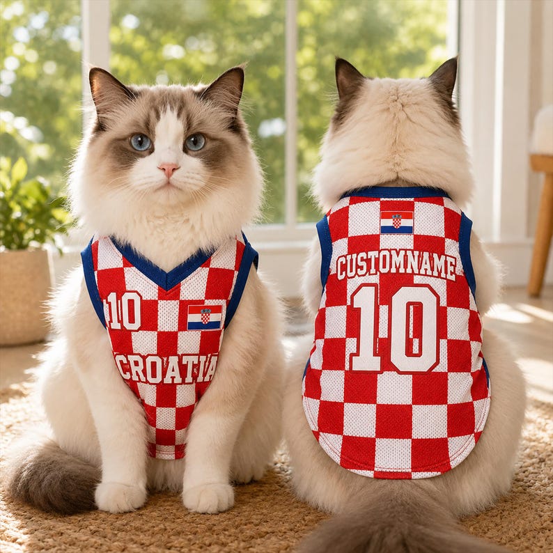 May include: Two long-haired cats wearing red and white checkered mesh jerseys with blue trim. The jerseys feature the Croatian flag, the text "CROATIA", the word "CUSTOMNAME", and the number "10" in white lettering on the front and back.