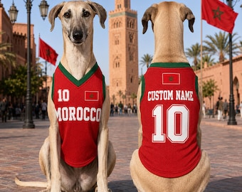 Custom Morocco Pet Jersey, Personalized Cat Soccer Shirt, Football Outfit for Dogs Cats, Name Number Puppy Sports Jersey Gift