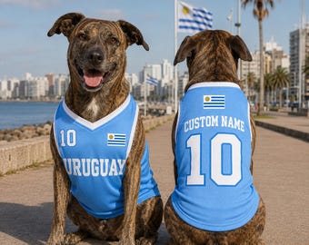 Custom Uruguay Pet Jersey, Personalized Cat Soccer Shirt, Football Outfit for Dogs Cats, Name Number Puppy Sports Jersey Gift