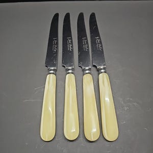 4 Jean Dubost Bistro Cutlery Ivory Handles Stainless Steak Knives France - D4