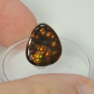 May include: A brown, green, and orange agate cabochon with a unique, swirling pattern. The stone is smooth and polished, and it has a translucent appearance.