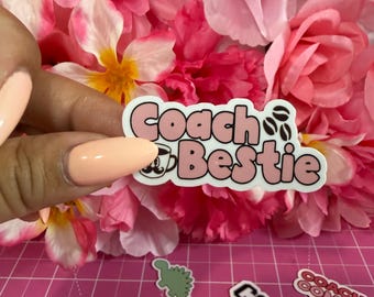 Coach Sticker pack 16 ct