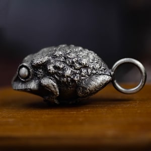 Può includere: Un ciondolo a forma di rana argentata e dettagliata, con una superficie strutturata. La rana ha un occhio grande e un anello per appenderla. Il ciondolo è probabilmente in metallo ed è progettato per essere indossato come gioiello o ciondolo.
