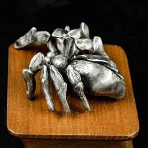 May include: A detailed silver-colored spider sculpture with eight legs, a segmented body, and textured details. The spider is mounted on a small, square wooden base with rounded corners. The background is black.