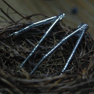 Op de afbeelding: Close-up van drie zilverkleurige notenkrakers met gedetailleerde ontwerpen. De notenkrakers liggen in een nest van takjes, wat een rustieke en natuurlijke uitstraling creëert. De metalen gereedschappen hebben een decoratief patroon.