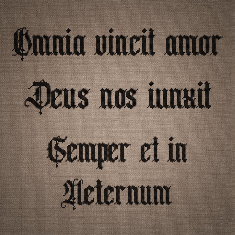 May include: A cross-stitch embroidery piece on brown fabric featuring black text in a gothic font. The text reads: Omnia vincit amor, Deus nos iunxit, Semper et in aeternum. The embroidery is centered and clearly legible against the textured background.
