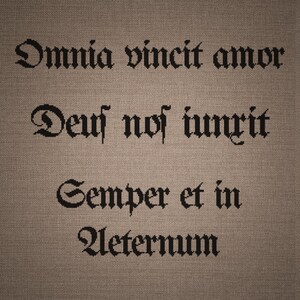 May include: A cross-stitch embroidery on a textured brown fabric background featuring the black stitched Latin phrases Omnia vincit amor, Deus nos iungit, and Semper et in Aeternum in a decorative gothic-style font with clear, dark lettering.