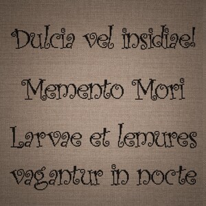 May include: A piece of brown fabric featuring black cross-stitched Latin text that reads: Dulcia vel insidiae! Memento Mori, Larvae et lemures vagantur in nocte. The embroidery is centered on the textured, woven material with a visible grid pattern.