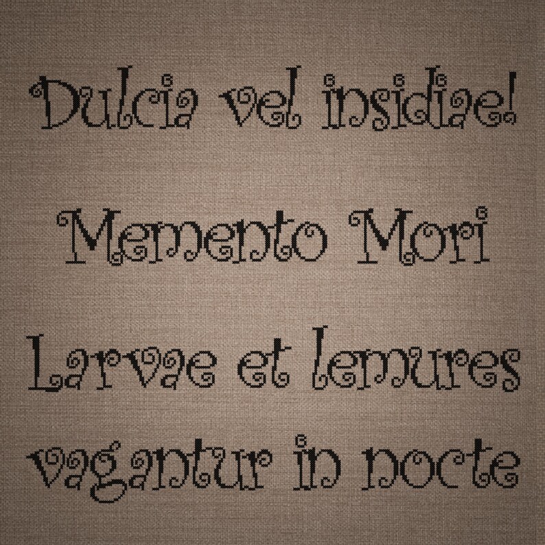 May include: A piece of brown fabric featuring black cross-stitched Latin text that reads: Dulcia vel insidiae! Memento Mori, Larvae et lemures vagantur in nocte. The embroidery is centered on the textured, woven material with a visible grid pattern.