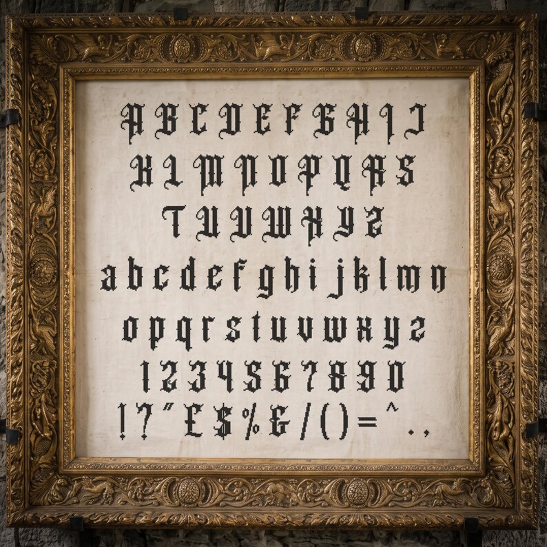 May include: A framed cross-stitch sampler featuring a black gothic-style alphabet, numbers, and punctuation marks embroidered on a light-colored fabric. The piece is enclosed in an ornate, rectangular gold-colored frame with intricate carvings.