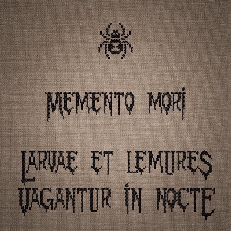 May include: A cross-stitch embroidery on a light brown fabric background featuring a black spider icon at the top. Below the spider, the text reads MEMENTO MORI, followed by the Latin phrase LARVAE ET LEMURES VAGANTUR IN NOCTE in black thread.