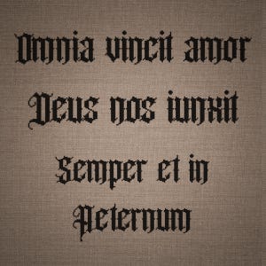 May include: A piece of brown fabric featuring black cross-stitched text in a gothic font. The text reads: Omnia vincit amor, Deus nos iunxit, Semper et in aeternum. The embroidery is centered on the textured, woven material surface.