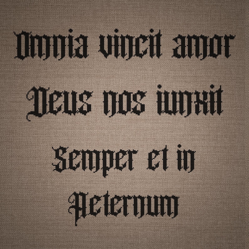 May include: A piece of brown fabric featuring black cross-stitched text in a gothic font. The text reads: Omnia vincit amor, Deus nos iunxit, Semper et in aeternum. The embroidery is centered on the textured, woven material surface.