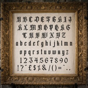May include: A framed cross-stitch sampler featuring black gothic-style uppercase and lowercase letters, numbers zero through nine, and various punctuation marks including the pound and dollar signs, all set against a light cream-colored fabric background.