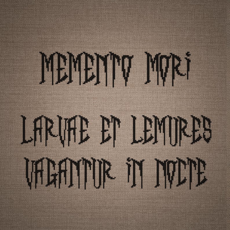 Puede incluir: Un bordado de punto de cruz sobre un fondo de tela marr&oacute;n texturizada. El dise&ntilde;o presenta letras negras bordadas que dicen MEMENTO MORI, LARVAE ET LEMURES y VAGANTUR IN NOCTE, con un estilo de fuente estilizado y goteante en todo el texto.