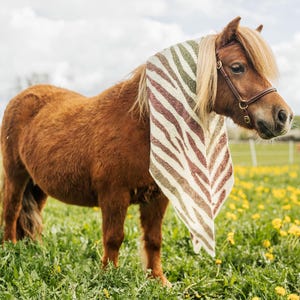 May include: A brown pony wearing a scarf with a zebra stripe pattern, standing in a field of green grass and yellow flowers. The pony has a brown bridle and is under a cloudy sky.