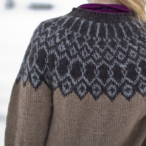 Puede incluir: Un suéter de punto marrón con un patrón geométrico en gris y negro. El suéter tiene cuello redondo y mangas largas.