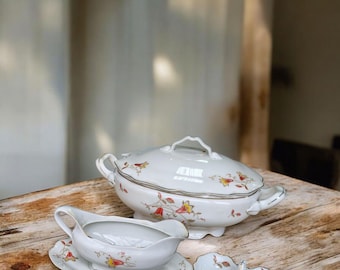 Raro set di porcellana cecoslovacca Chodau H&C: zuppiera da 2,4 l, salsiera con sottopiatto, doppia saliera, porcellana con finiture dorate floreali
