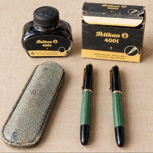 Pelikan 100 Fountain Pen - Etsy