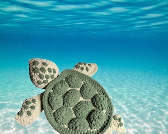 Sea turtle