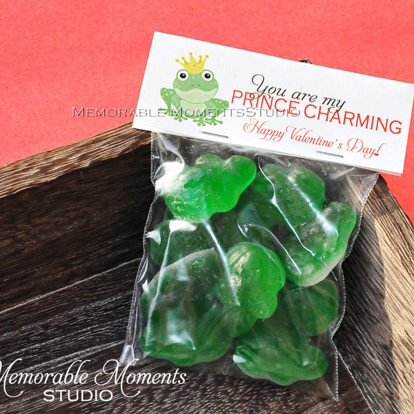 INSTANT DOWNLOAD - Printable Candy Bag Labels - Happy Valentine's Day - Prince Charming - Kiss the Frog - Memorable Moments Studio