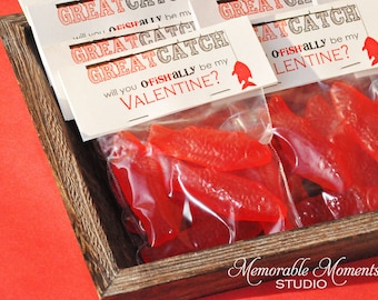 INSTANT DOWNLOAD - Printable Candy Bag Labels - Happy Valentine's Day - Great Catch - Fish Valentine - Memorable Moments Studio