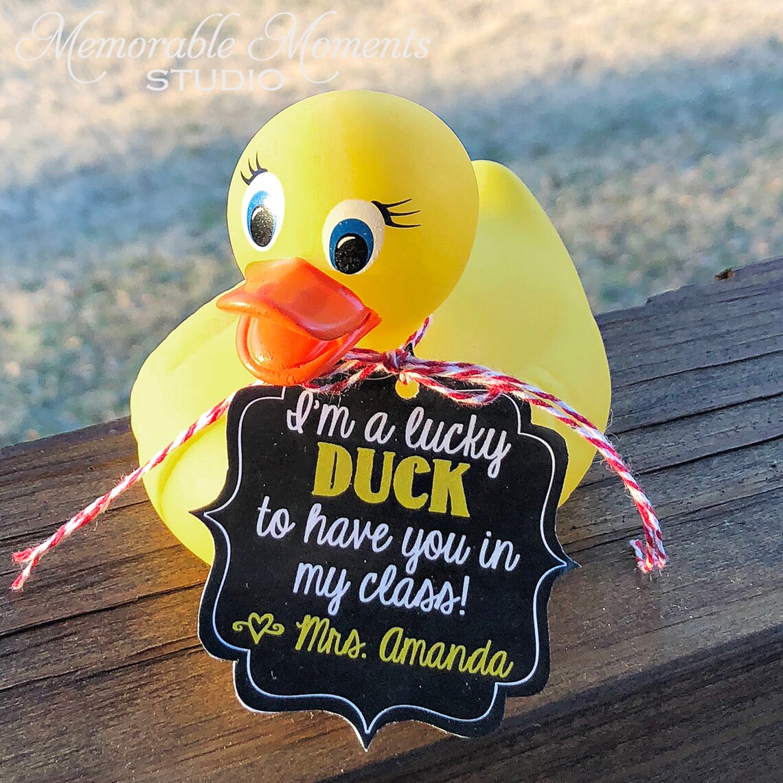 EDITABLE Chalkboard Im A Lucky Duck to Have You in My Class Etsy Canada
