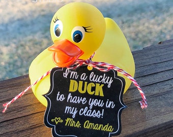 EDITABLE Chalkboard I’m A Lucky Duck to have you in my Class Gift Tags - Download Printable Template Corjl 2711