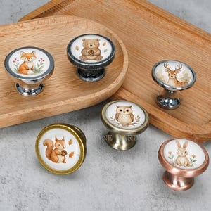 May include: Six round cabinet knobs featuring illustrations of a fox, bear, deer, owl, squirrel, and rabbit. Each knob has a distinct metallic finish including silver, bronze, and copper tones, with white circular centers displaying woodland animals.