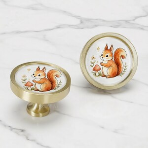 May include: Two round cabinet knobs with a brushed gold metal finish. Each knob features a circular white center insert decorated with a watercolor-style illustration of a brown squirrel, a small red mushroom, green foliage, and a tiny yellow star.