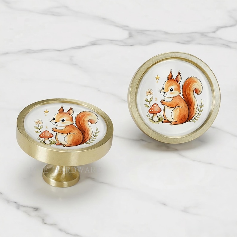 May include: Two round cabinet knobs with a brushed gold metal finish. Each knob features a circular white center insert decorated with a watercolor-style illustration of a brown squirrel, a small red mushroom, green foliage, and a tiny yellow star.