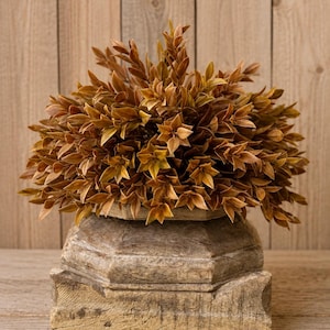 May include: A dense, rounded cluster of small, pointed, rust-colored leaves arranged in a bushy formation, resting atop a weathered, light-brown wooden pedestal with a square base and an octagonal top section featuring a rough, textured surface.