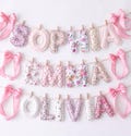 Personalized Name Garland for Nursery | Fabric Letter Banner for Baby Girl | Custom Floral Nursery Decor | Baby Shower Gift, Newborn Gift product logo