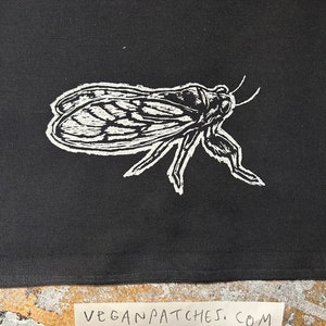 LOCUST PATCH bugs are so cool