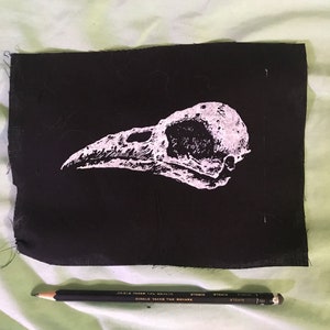 BIRD SKULL PATCH what kind of bird well I completely forget maybe one of you is an ornithologist and can remind me