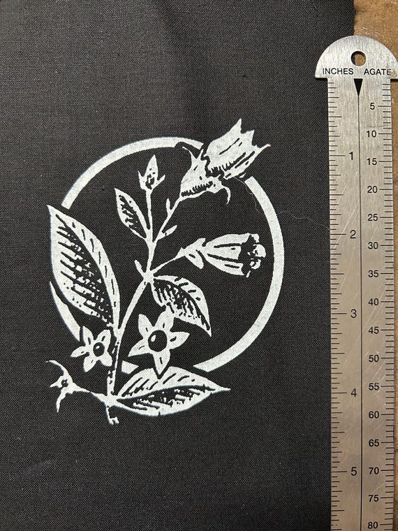 BELLADONNA PLANT PATCH what a nightshade and also what a deadly lovely little thing