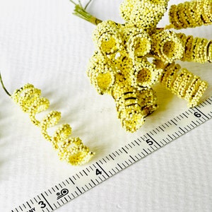 Tiny yellow helical flower stems set of twelve stems