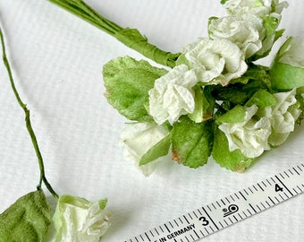 Tiny white roses set of ten flowers