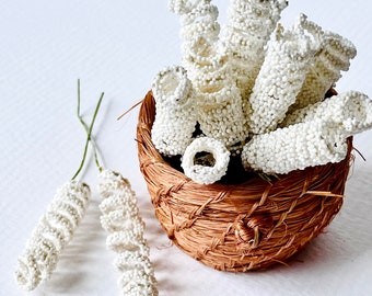 Tiny white helical flower stems set of twelve stems