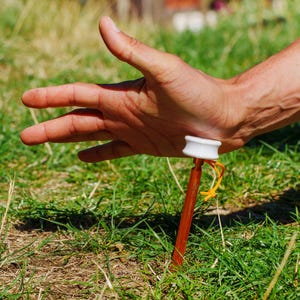 May include: An orange metal tent peg with a white plastic cap and a thin orange cord attached, inserted into the ground. The peg features a straight, slender body and a flat, circular top piece designed for securing outdoor equipment.