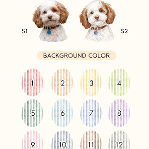 Puede incluir: Un gr&aacute;fico que muestra dos opciones de estilo de retrato de perro etiquetadas como S1 y S2, seguido de una secci&oacute;n titulada BACKGROUND COLOR con doce muestras ovaladas numeradas del 1 al 12, cada una con un patr&oacute;n de rayas verticales &uacute;nico.