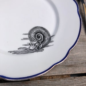 Plate &quot;Sea snail&quot;, porcelain with rim in maritime blue and gold, handmade screen-printed motif; gift for friends, family, children...