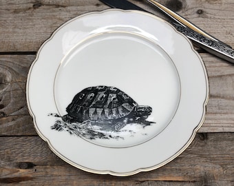 Porzellanteller "Schildkröte", ca. 20cm, Vintage, weiß mit Goldrand und handgedrucktes Motiv; Geschenk für Zuhause, Freunde, Familie, Essen