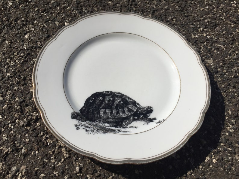 small Plate white vintage porcelain with Goldrim and handmade Silkscreen Print 20cm Turtle