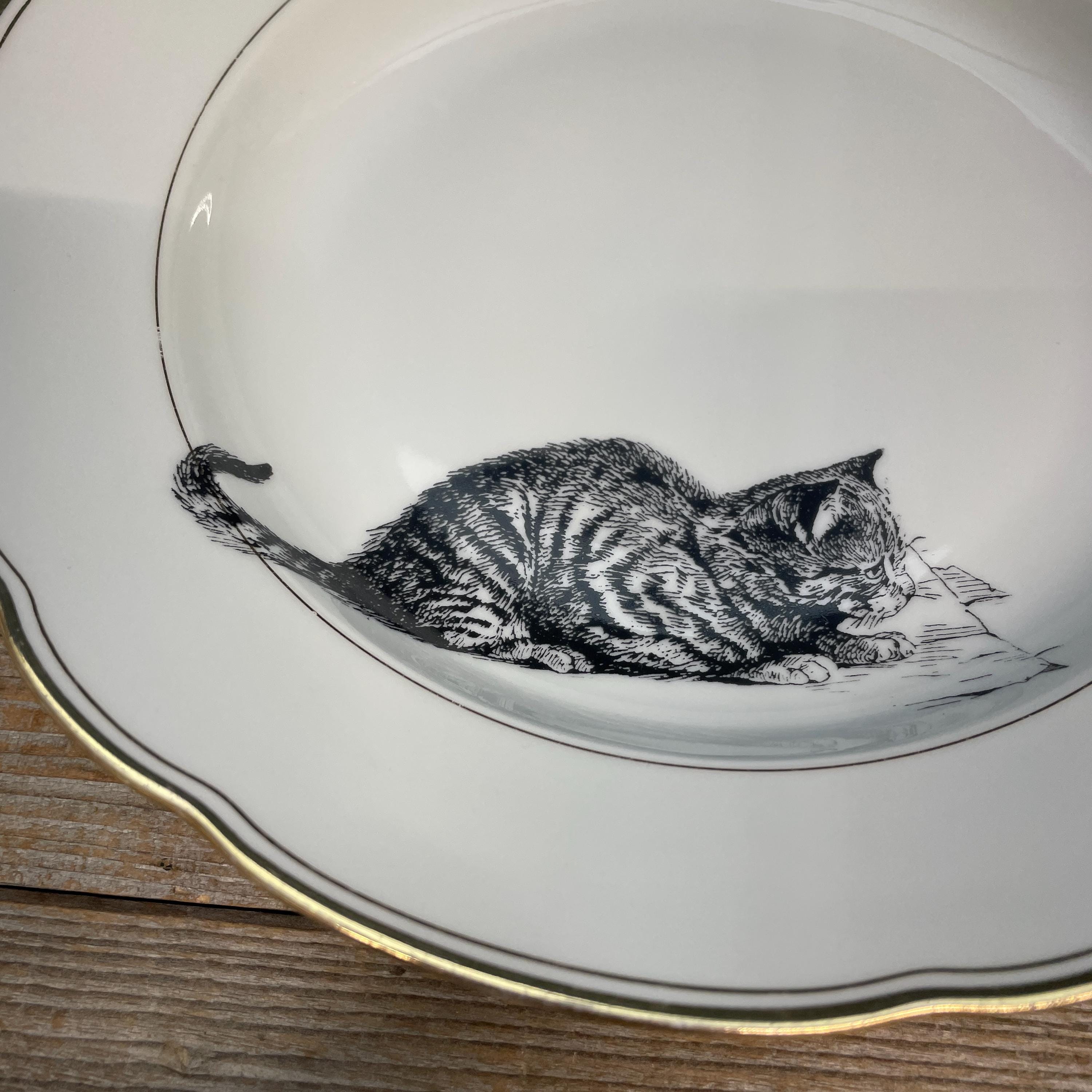 il_fullxfull.7426345144_fg6o.jpg