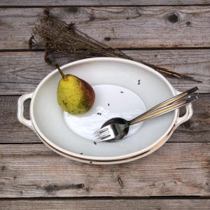 Ant terrine, white porcelain with gold rim (vintage) with screen-printed motifs, gift for home, veranda & garden party, chilling, grilling
