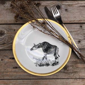 Okapi Plate